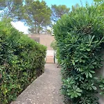Trullo Pasquale * Selva Di Fasano