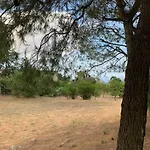 Trullo Pasquale Feriehus Selva Di Fasano