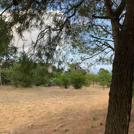 Trullo Pasquale Semesterbostad Selva Di Fasano