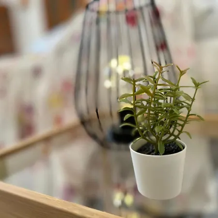 Ferienhaus Trullo Pasquale Selva Di Fasano