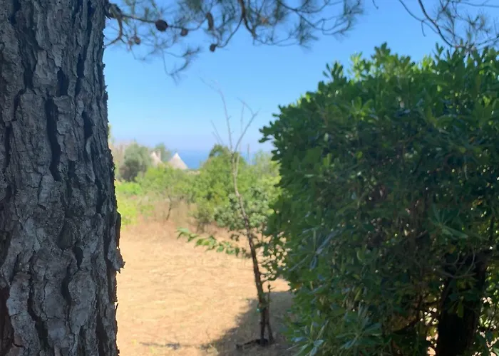 בית נופש Trullo Pasquale סלבה די פאסנו