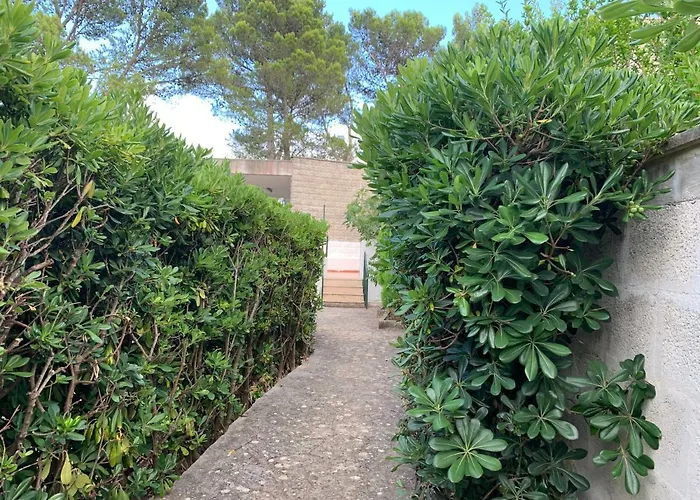 Trullo Pasquale * Selva Di Fasano