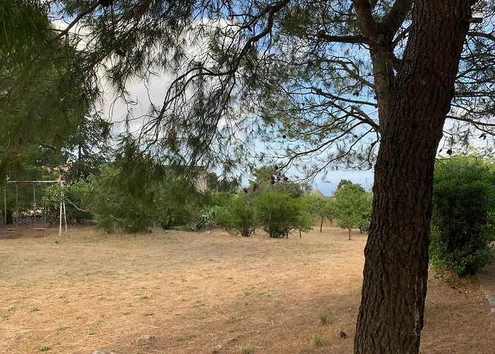 Trullo Pasquale Holiday home Selva Di Fasano